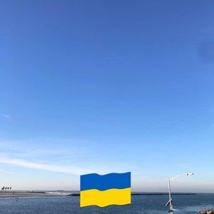 Meet your Posher, Dwight